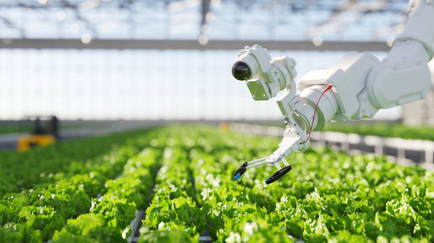 Automated Feeders