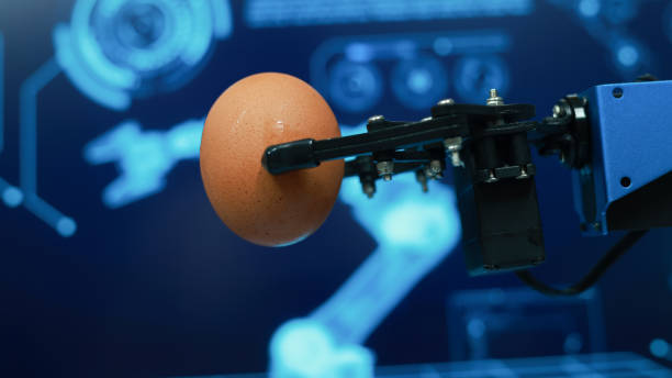 Egg Handling Robots